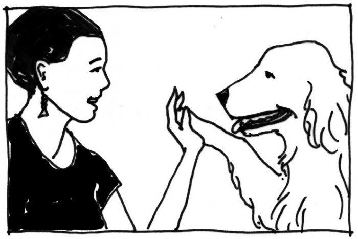 A woman high-fiving a dog